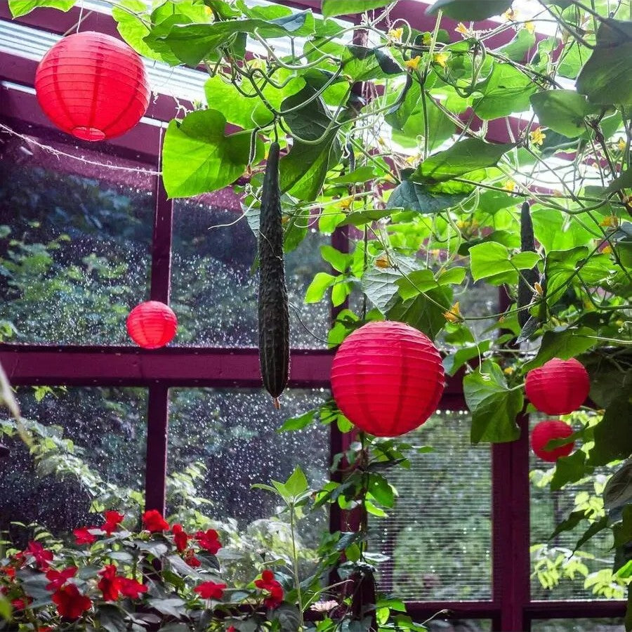 Red Paper Lanterns 30cm Set, Traditional Round Hanging Decor, Festival & Patio Lighting